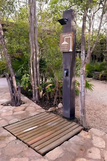 Discover, Explore Y Enjoy Tulum