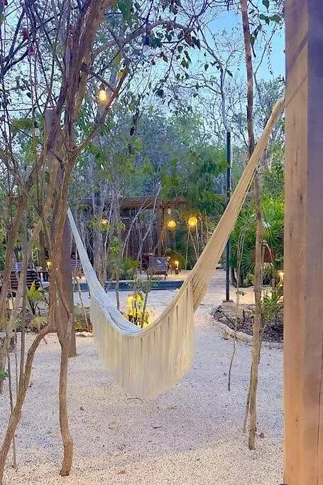 Discover, Explore Y Enjoy Tulum