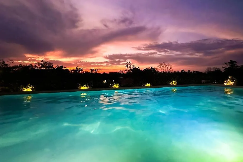 Discover, Explore Y Enjoy Tulum