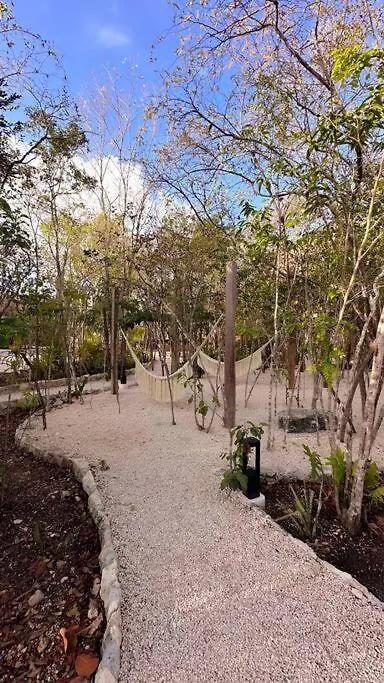 Holiday home Discover, Explore Y Enjoy Tulum