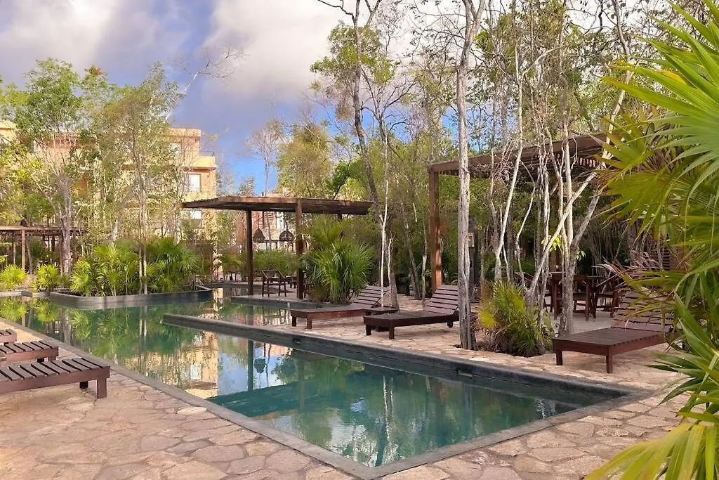 Discover, Explore Y Enjoy Tulum