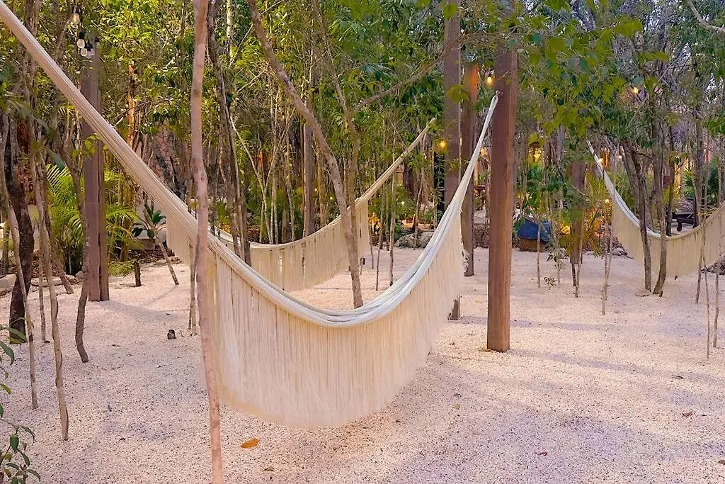 Discover, Explore Y Enjoy Tulum