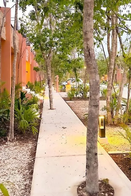 Discover, Explore Y Enjoy Tulum