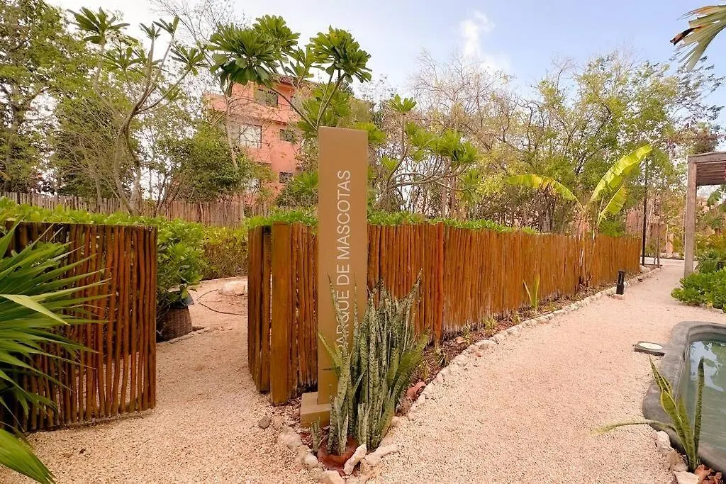 Holiday home Discover, Explore Y Enjoy Tulum